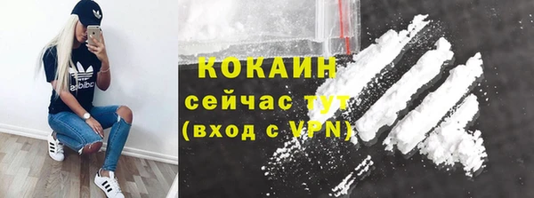 мет Новодвинск