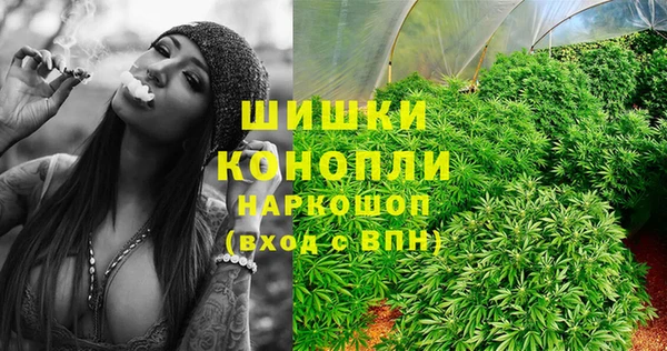 мет Новодвинск