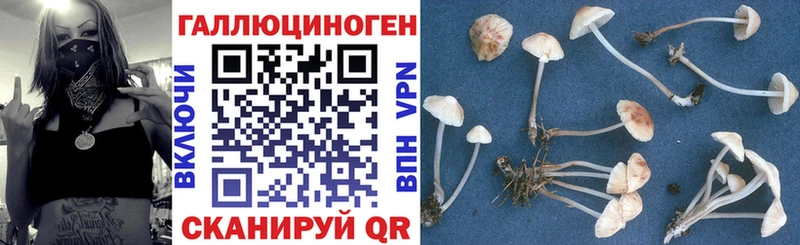 дарк нет как зайти  Урень  Галлюциногенные грибы мухоморы 